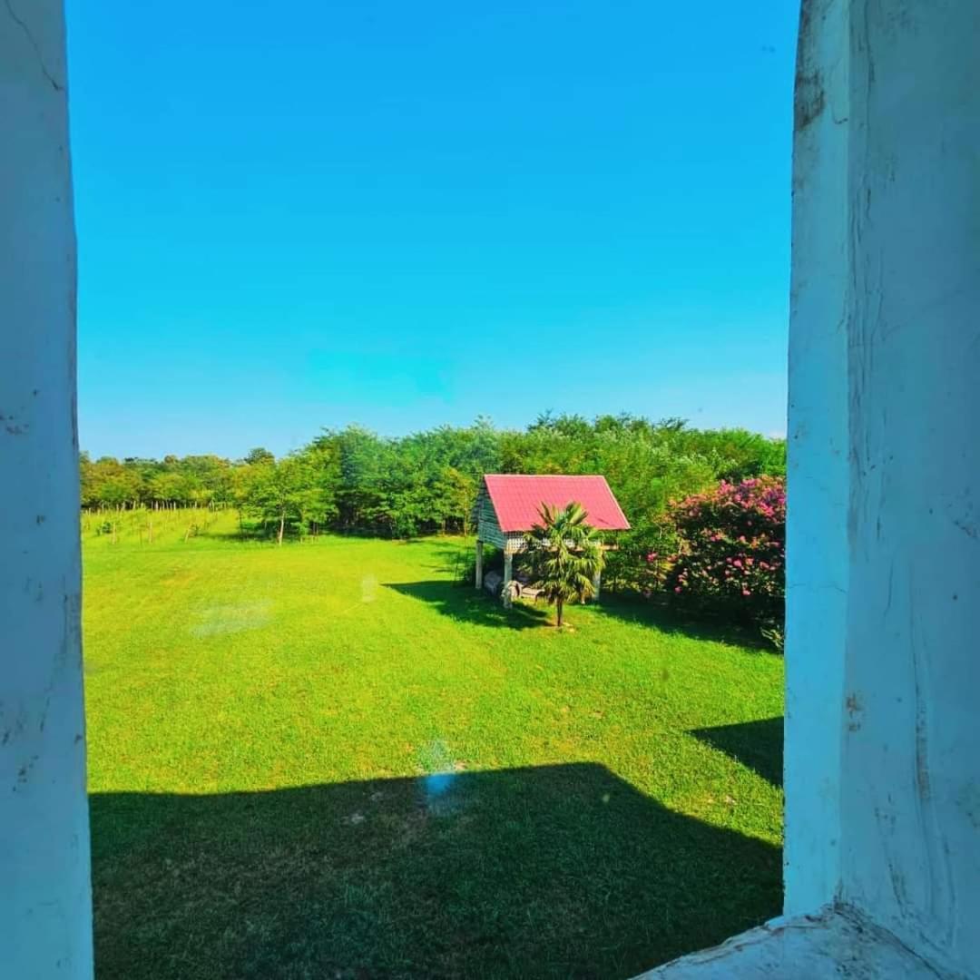 Blue Guest House Samtredia Bagian luar foto