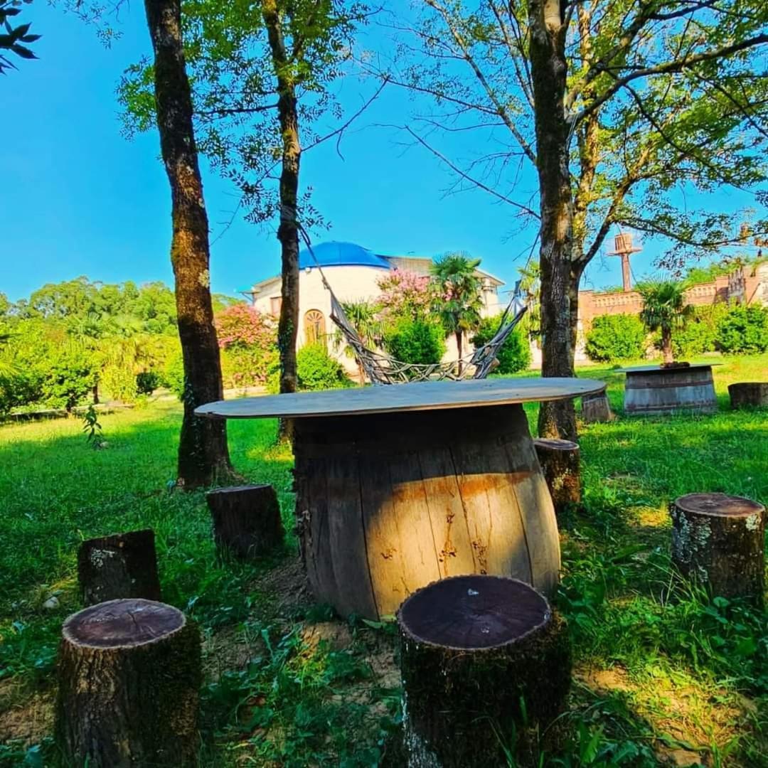 Blue Guest House Samtredia Bagian luar foto