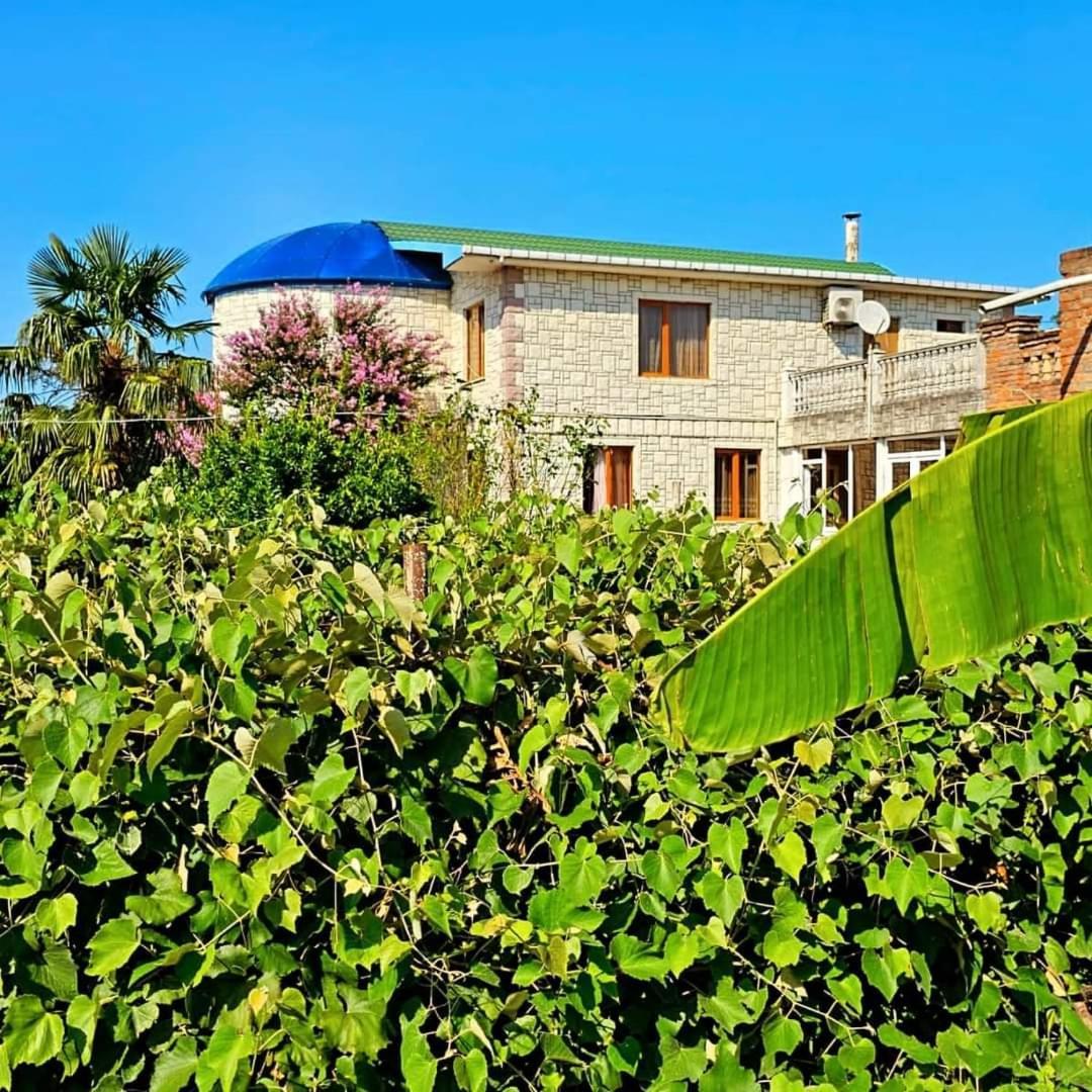 Blue Guest House Samtredia Bagian luar foto